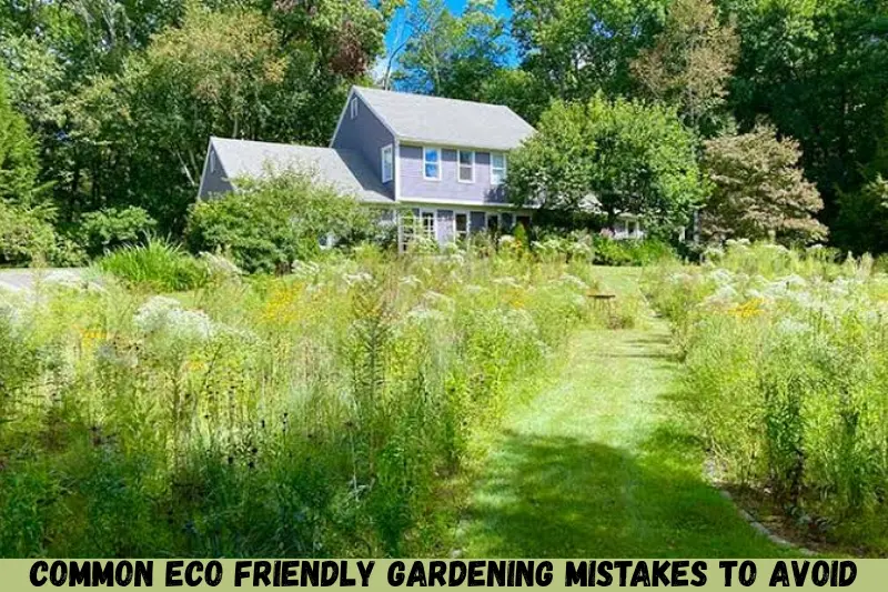 common eco friendly gardening mistakes to avoid