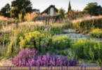 eco friendly gardening tips: simple ways to create a greener garden