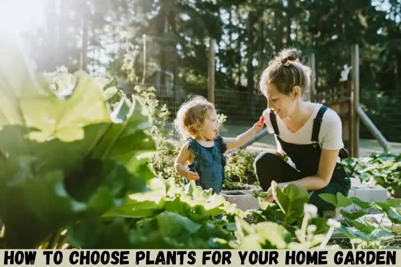how to choose plants for your home garden