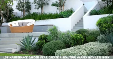 low maintenance garden ideas: create a beautiful garden with less work