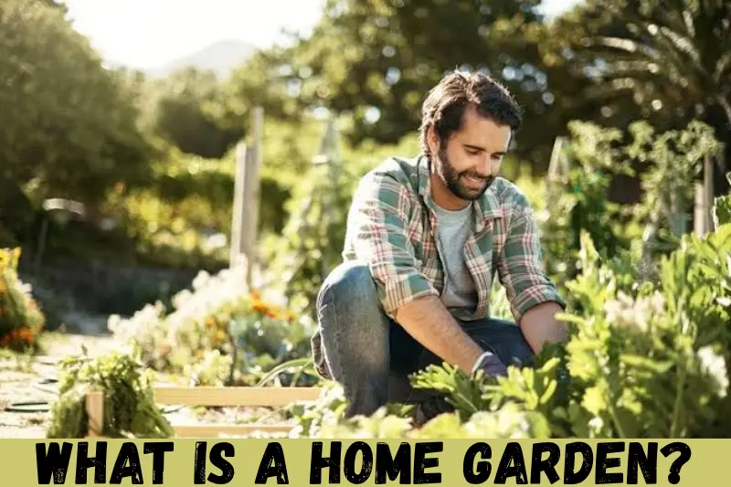 what is a home garden?