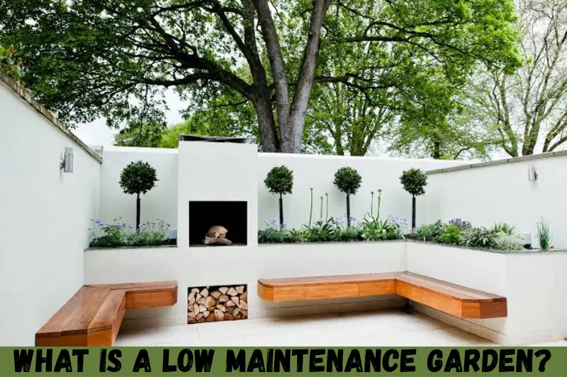 what is a low maintenance garden?