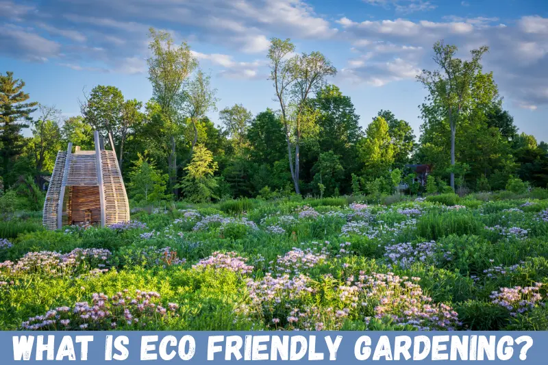what is eco friendly gardening?