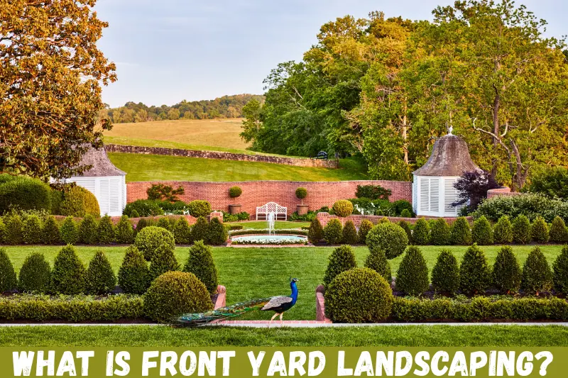 what is front yard landscaping?
